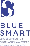 BLUE SMART
